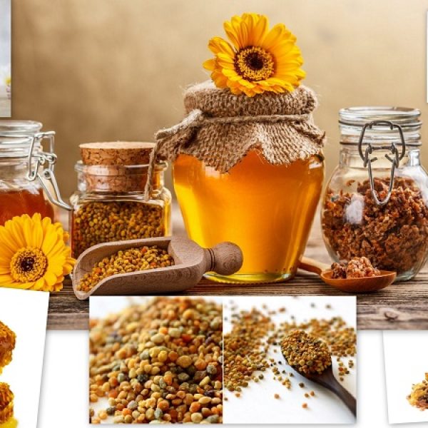 طراحی فروشگاه اینترنتی تخصصی عسل و فرآورده‌های زنبور عسل