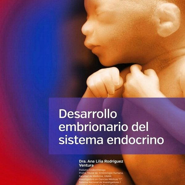 دانلود کتاب Desarrollo embrionario del sistema endocrino Rodríguez Ventura 2023