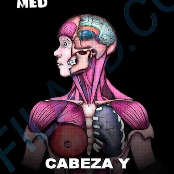 دانلود کتاب Post Cabeza y Cuello