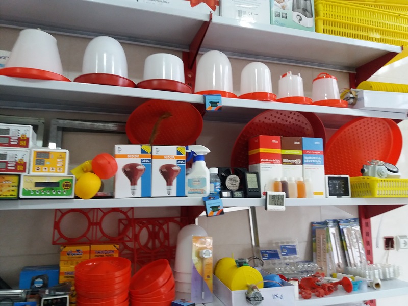 طراحی سایت فروشگاه انواع تجهیزات مرغداری و جوجه کشی (تضمین افزایش فروش)