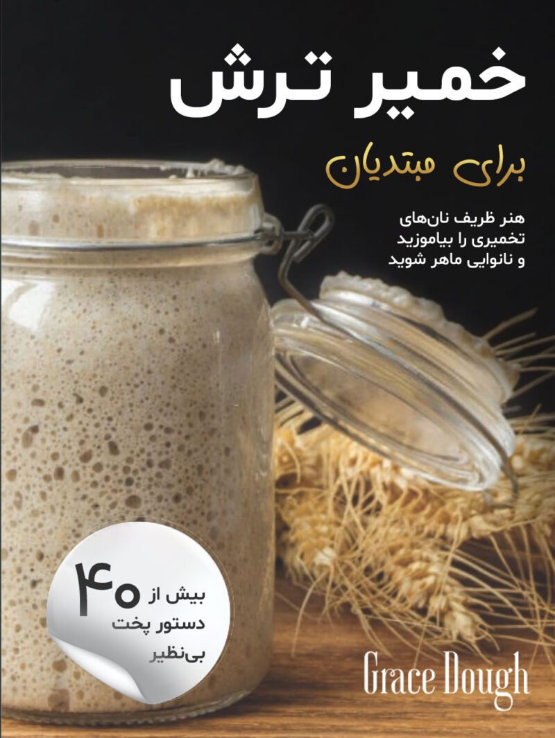 خرید و دانلود نسخه کامل کتاب خمیر ترش (ترجمه فارسی)