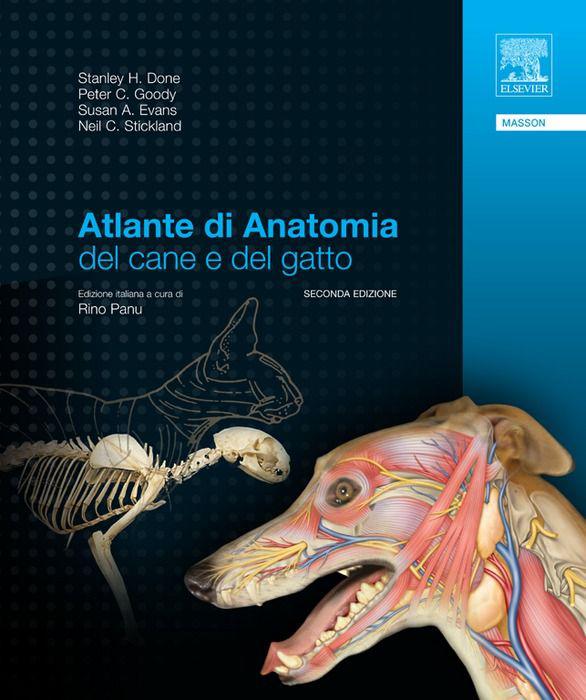 خرید و دانلود نسخه کامل کتاب Atlante di anatomia del cane e del gatto