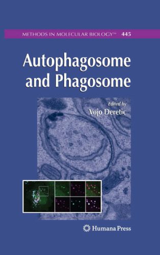 خرید و دانلود نسخه کامل کتاب Autophagosome and Phagosome