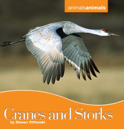 خرید و دانلود نسخه کامل کتاب Cranes and Storks (Animals Animals)