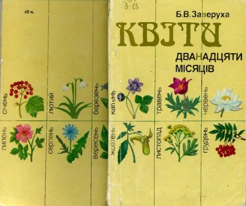 خرید و دانلود نسخه کامل کتاب Квіти дванадцяти місяців