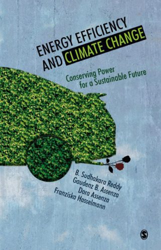 خرید و دانلود نسخه کامل کتاب Energy Efficiency and Climate Change: Conserving Power for a Sustainable Future