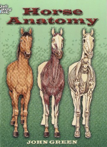 خرید و دانلود نسخه کامل کتاب Horse Anatomy