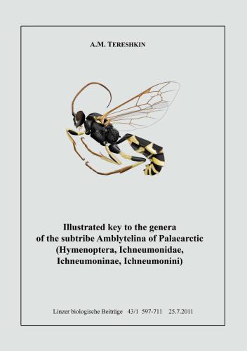 خرید و دانلود نسخه کامل کتاب Illustrated key to the tribes of subtribe Amblyetina of Palaearctic (Hymenoptera, Ichneumonidae, Ichneumoninae, Ichneumonini).