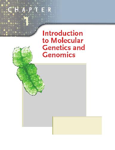 خرید و دانلود نسخه کامل کتاب Introduction To Molecular Genetics And Geonomics