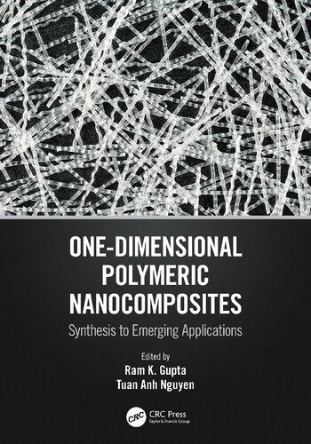 خرید و دانلود نسخه کامل کتاب One-Dimensional Polymeric Nanocomposites: Synthesis to Emerging Applications