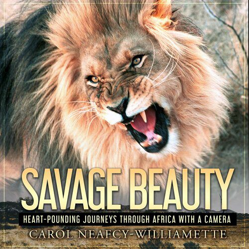 خرید و دانلود نسخه کامل کتاب Savage Beauty: Heart-Pounding Journeys Through Africa with a Camera