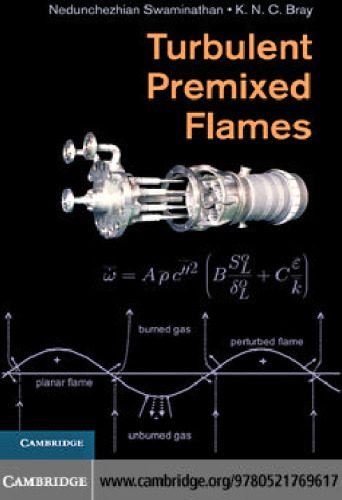 خرید و دانلود نسخه کامل کتاب Turbulent Premixed Flames