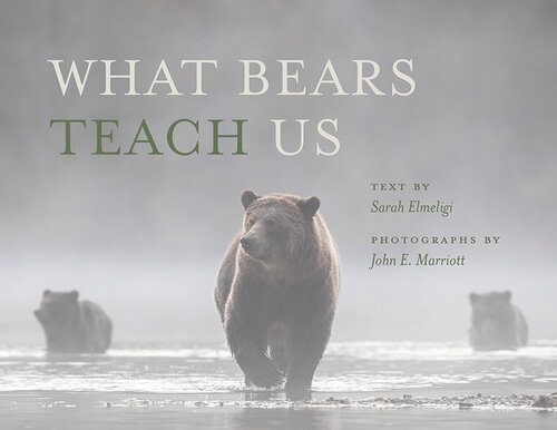 خرید و دانلود نسخه کامل کتاب What Bears Teach Us