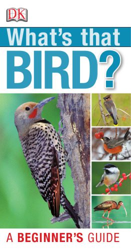 خرید و دانلود نسخه کامل کتاب What’s that Bird? A Beginner’s Guide