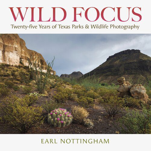 خرید و دانلود نسخه کامل کتاب Wild Focus: Twenty-five Years of Texas Parks & Wildlife Photography (Kathie and Ed Cox Jr. Books on Conservation Leadership, sponsored by The Meadows … and the Environment, Texas State University)