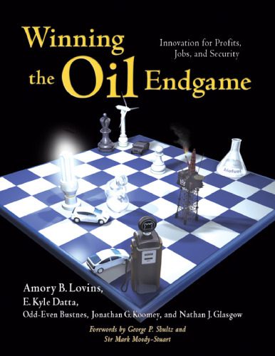 خرید و دانلود نسخه کامل کتاب Winning the Oil Endgame