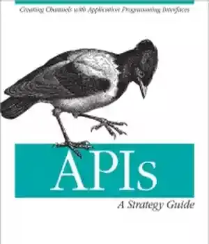 دانلود کتاب APIs: A Strategy Guide: Creating Channels with Application Programming Interfaces – API