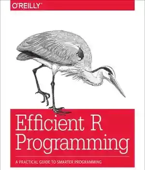 دانلود کتاب Efficient R Programming: A Practical Guide to Smarter Programming – R