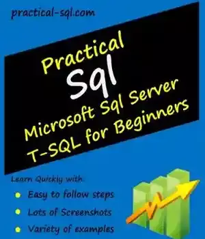 دانلود کتاب Practical SQL: Microsoft SQL Server T-SQL for Beginners
